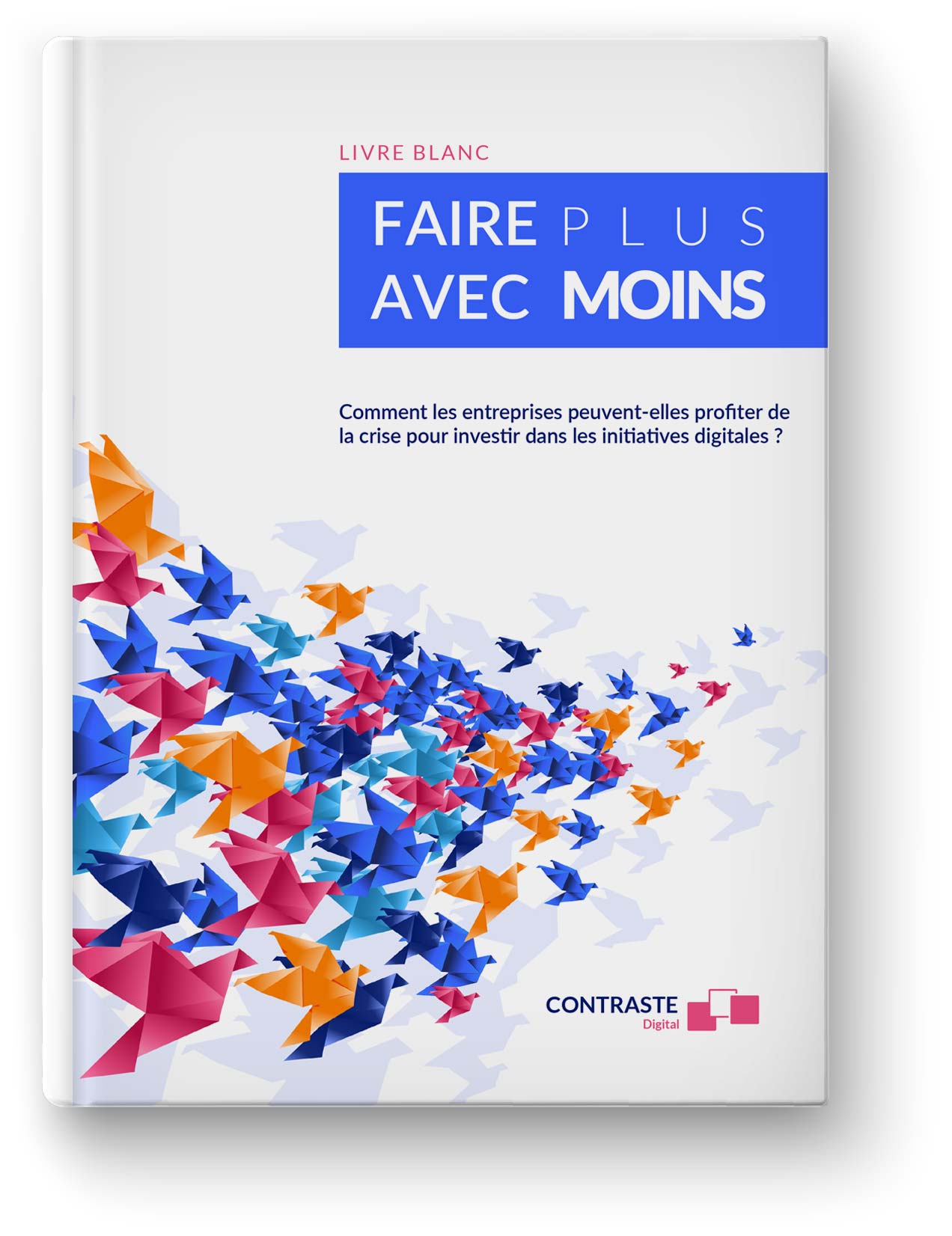 livre blanc français